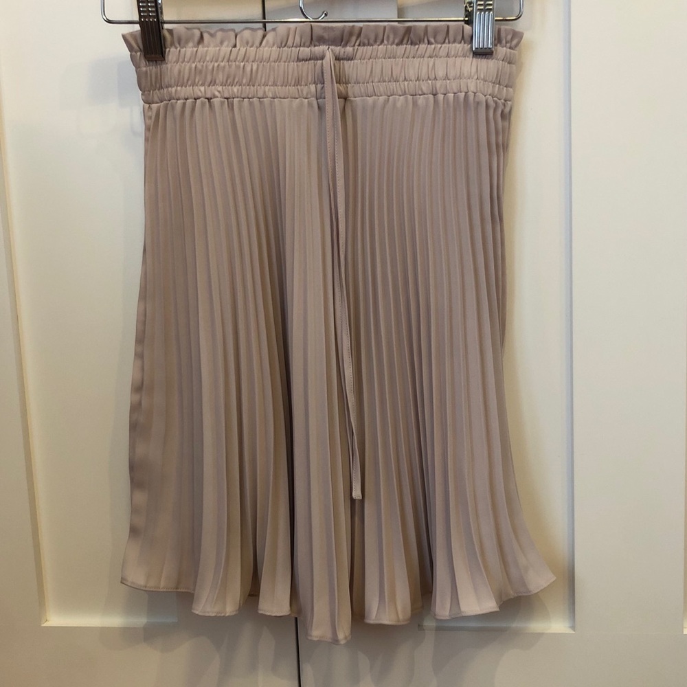Pleated Skirt